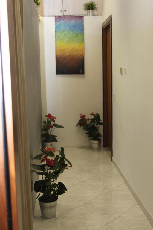 Hotel Galli Roma Esterno foto